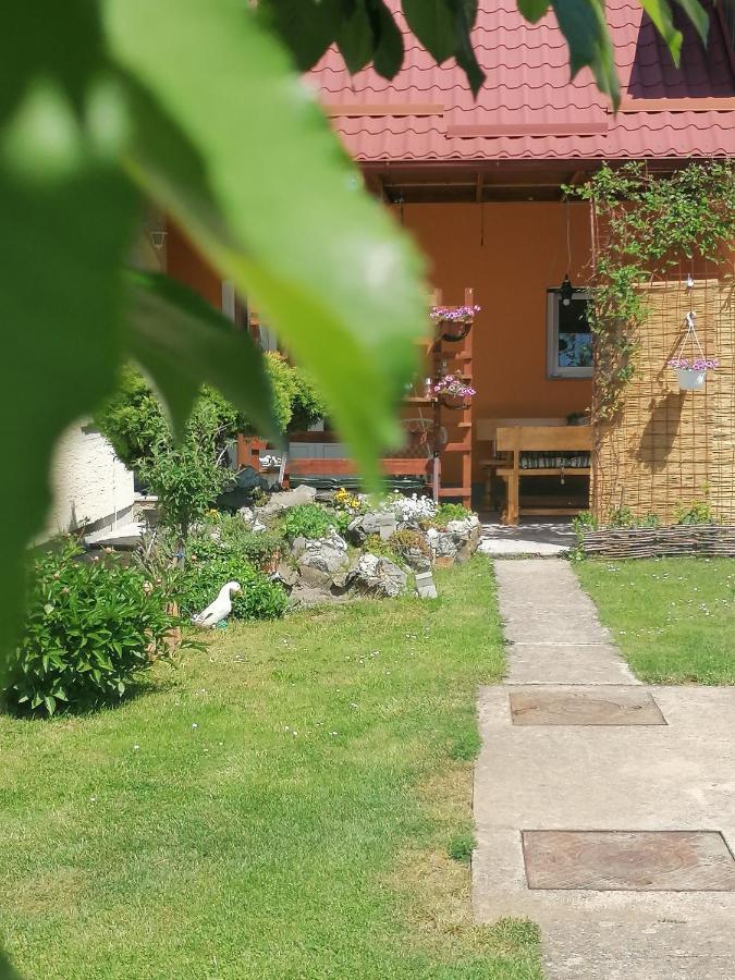 Studio Apartman Krosna Perusic Buitenkant foto